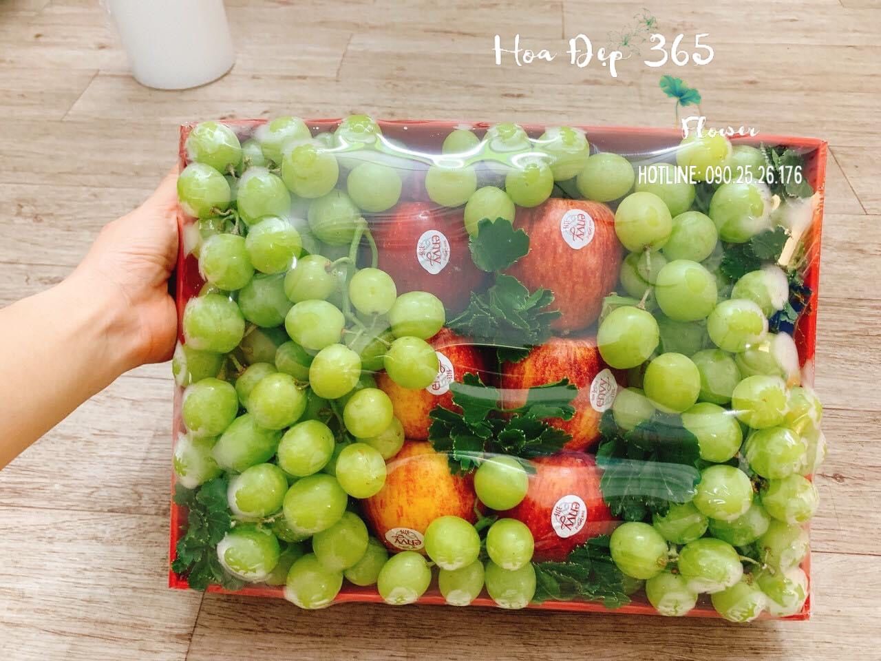 Hộp Trái Cây Dễ Thương - GTC46