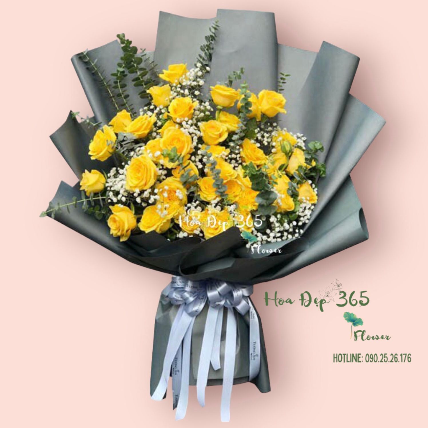 Sunny - HBD169