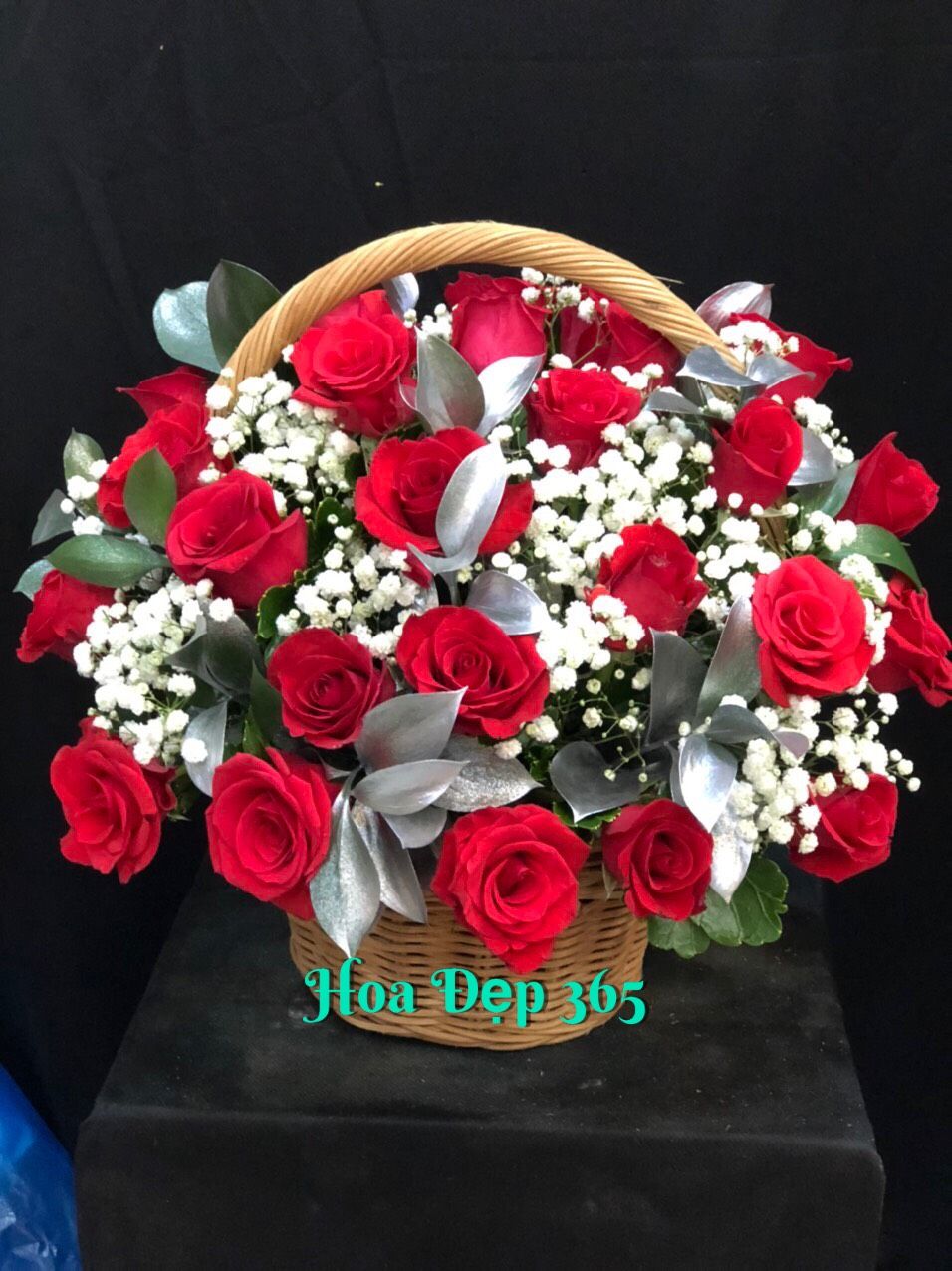 Hè Rực Rỡ - HG08