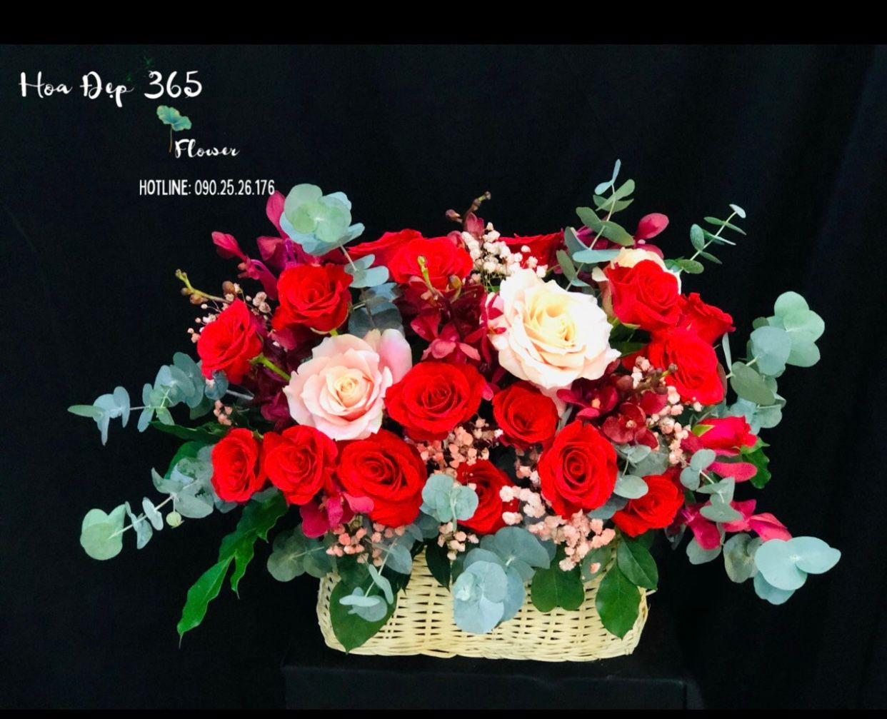 Vào Hạ - HG38 - Hoa 20/11 Vinh Danh Giáo Viên