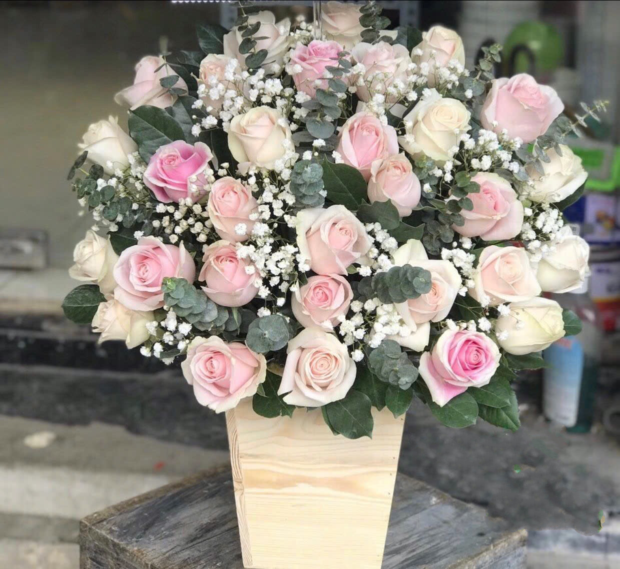 Vươn Lên - HCH49 - Hoa Sinh Nhật