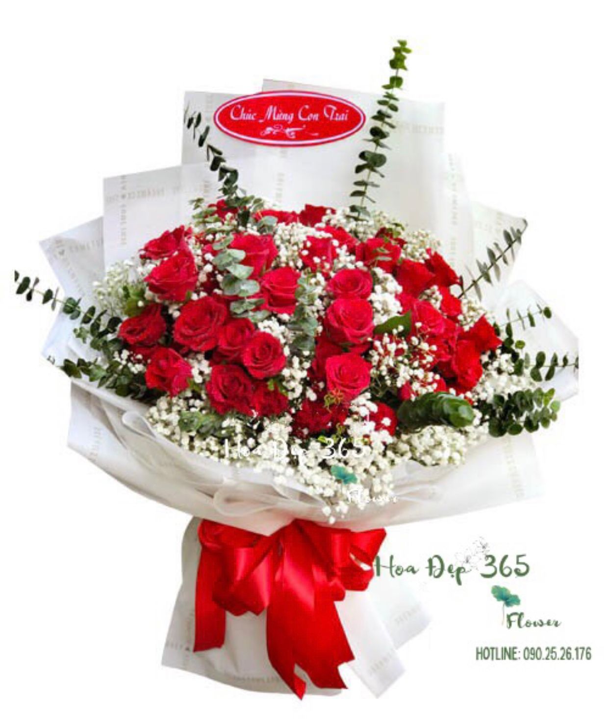 Sắc Đỏ - HBD174