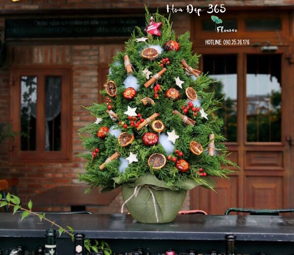 Cây Thông Noel Merry Spruce - HGS09 - Giáng Sinh An Lành