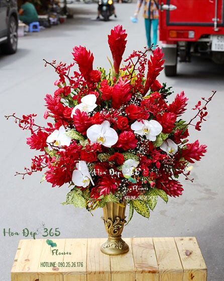 This Song For You - HCB09 - Hoa tặng Mẹ