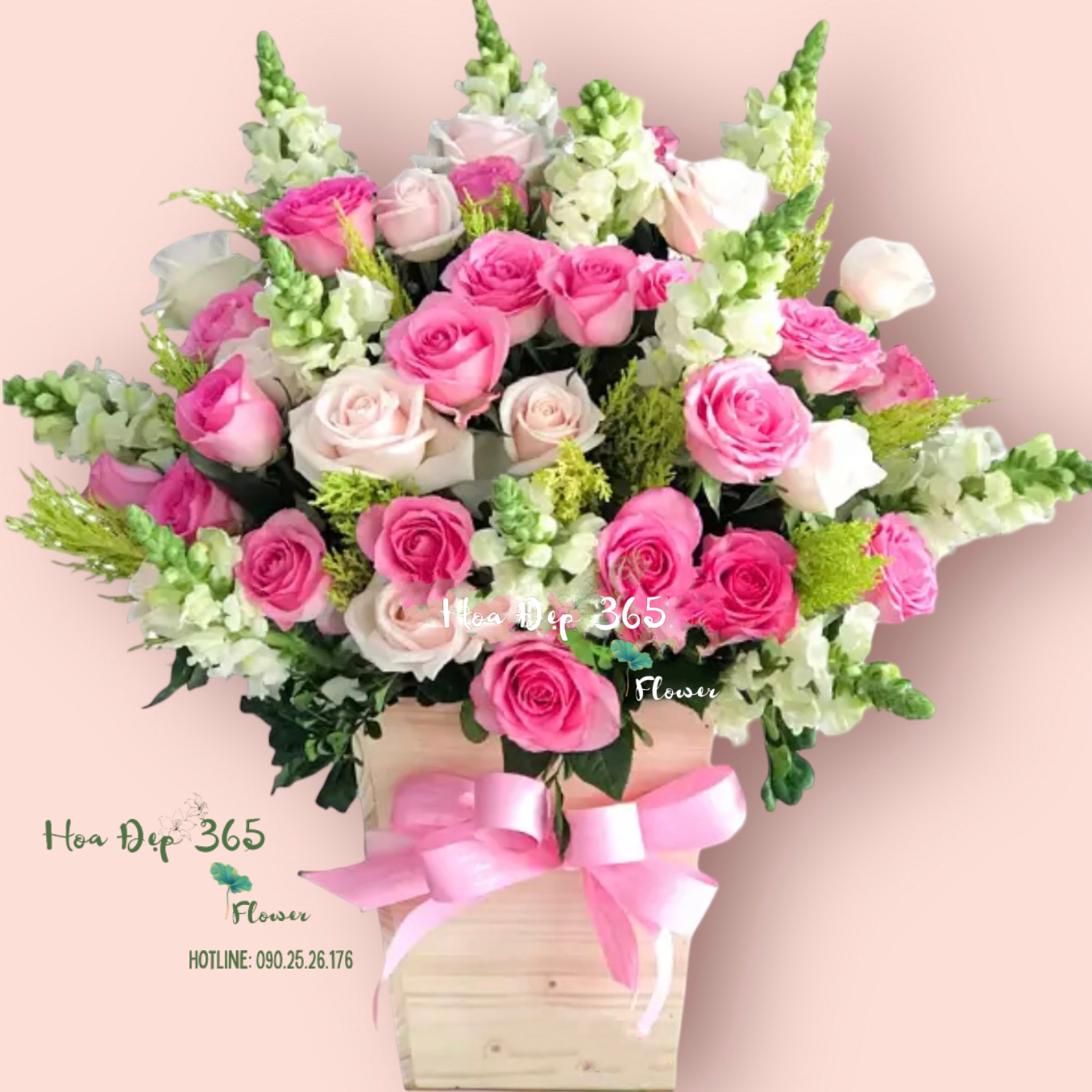 Celerbrate - HCH38 - Hoa Hồng 20/10