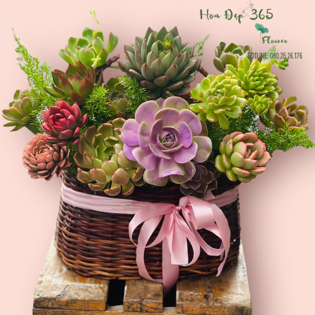 Giỏ Hoa Sen Đá - HG61
