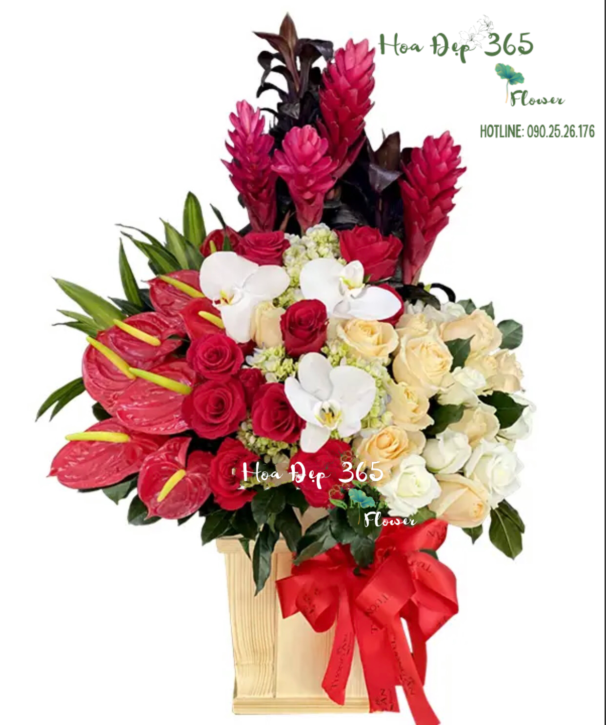 Tự Tình - HCH04