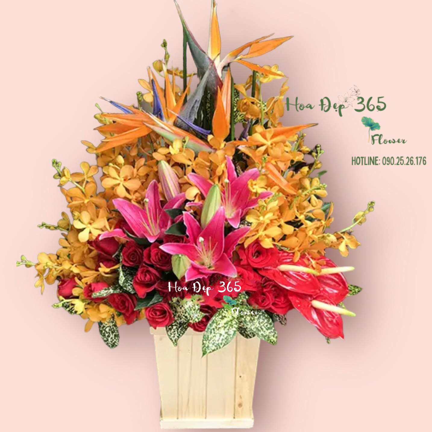 Hộp Hoa Đong Đầy - HCH105