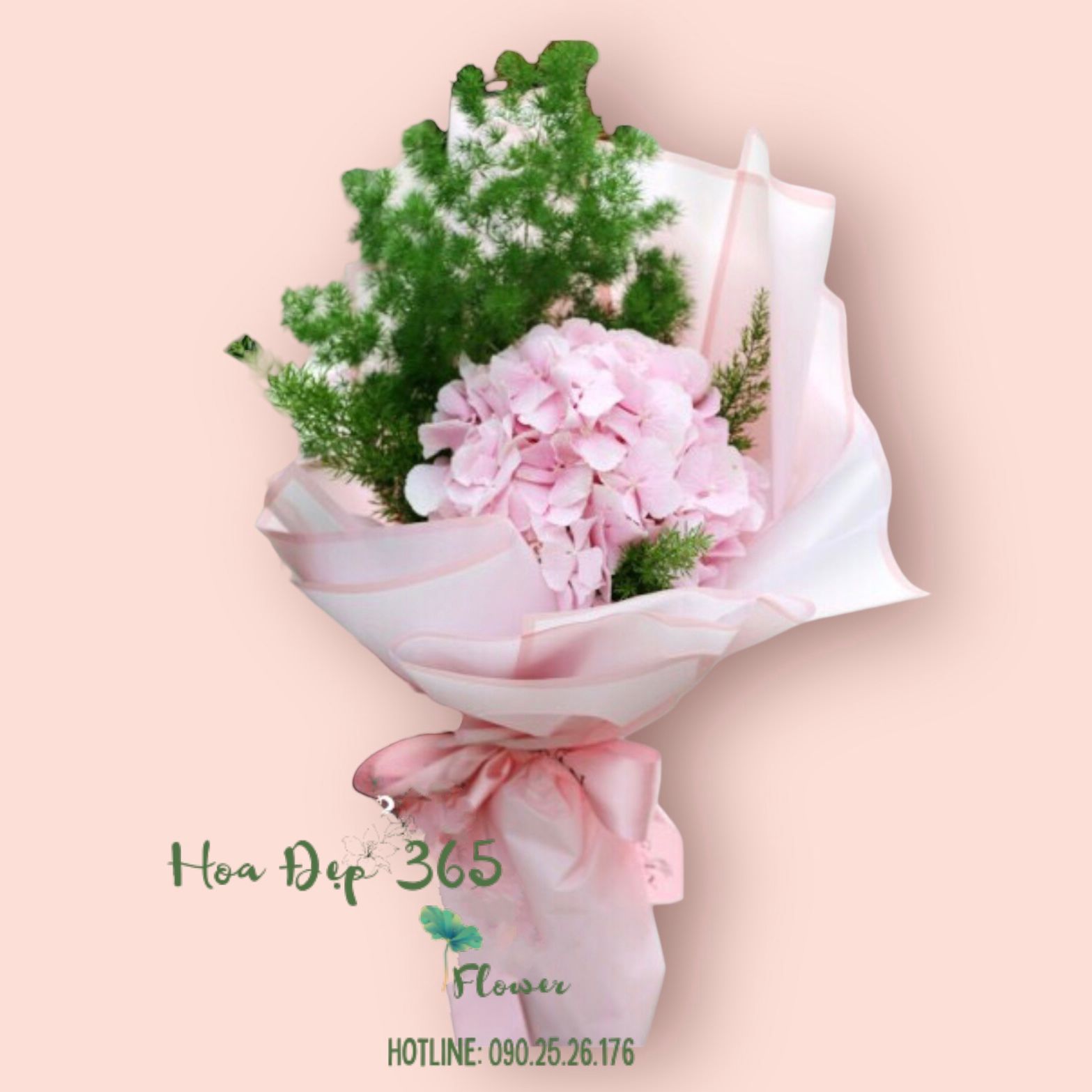 Bó Cẩm Tú Cầu Nhập - HBT09 - Hoa tặng mẹ