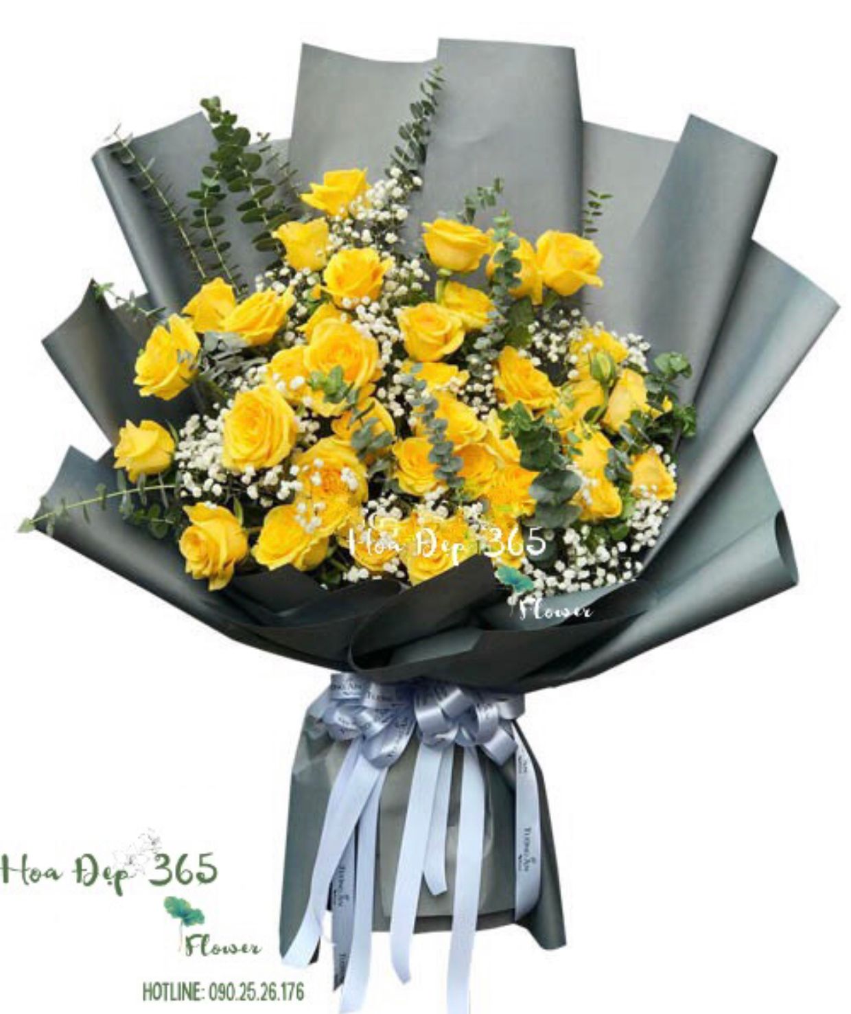 Sunny - HBD169