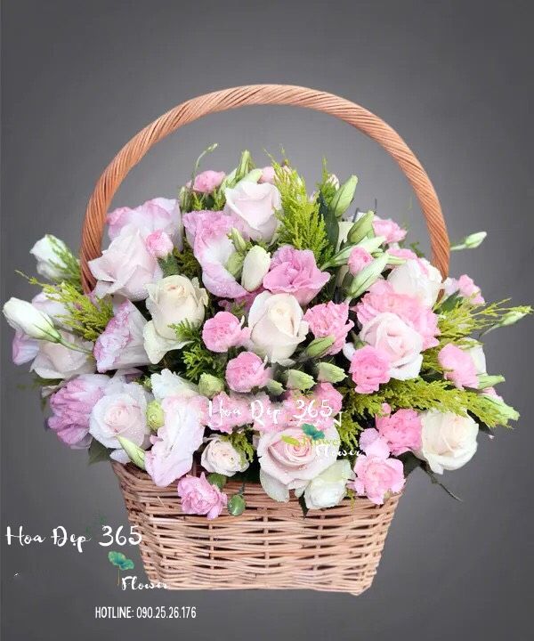 Nụ Cười Ngọt Ngào - HG50 - Giỏ Hoa Khai Trương