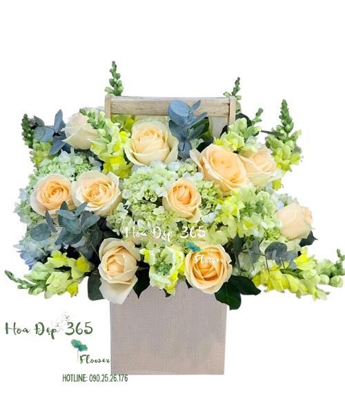 Tình Yêu Màu Nắng - HCH60