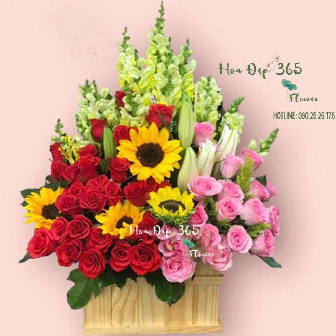 Hộp Hoa Sunny - HCH73 - Khai Trương Để Bàn