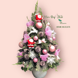  Cây Thông Noel Tannenbaum - HGS01 - Hoa Giáng Sinh 