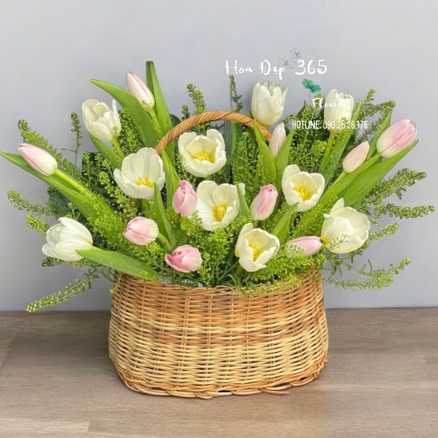 Giỏ Hoa Tươi Tulip Mix Màu - HG63