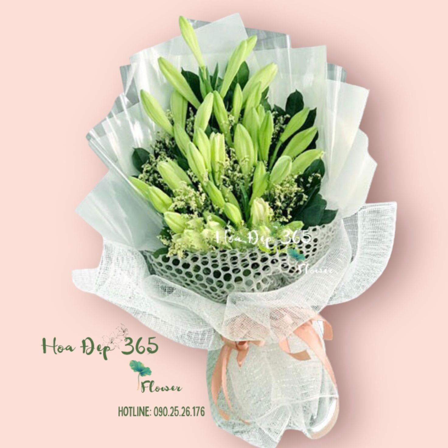 Giản Dị - HBD153 - Hoa 20/11 gửi tặng thầy cô