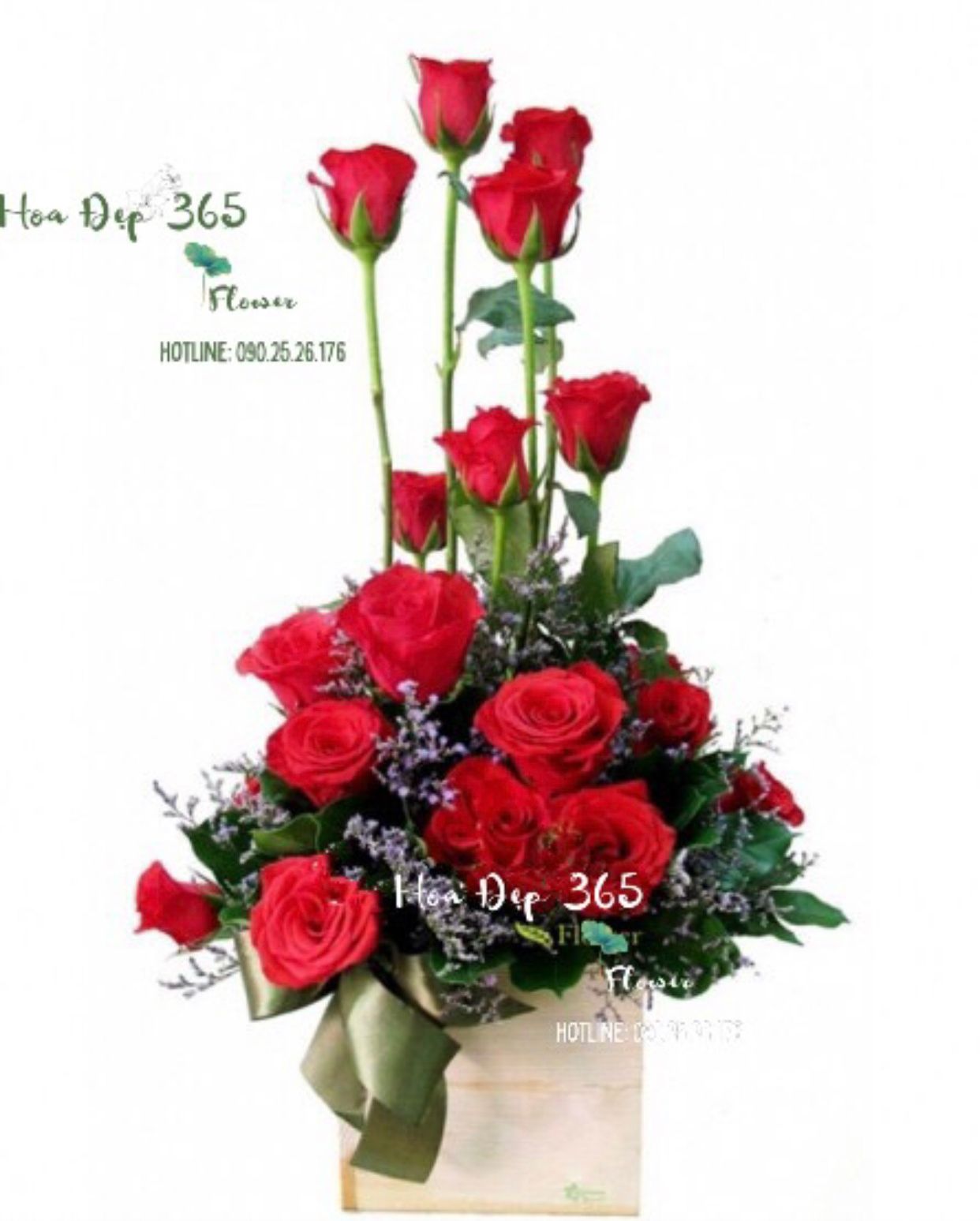 Rực Rỡ 2 - HCH26 - Hoa 20/11 Đẹp Tặng Thầy Cô Giáo