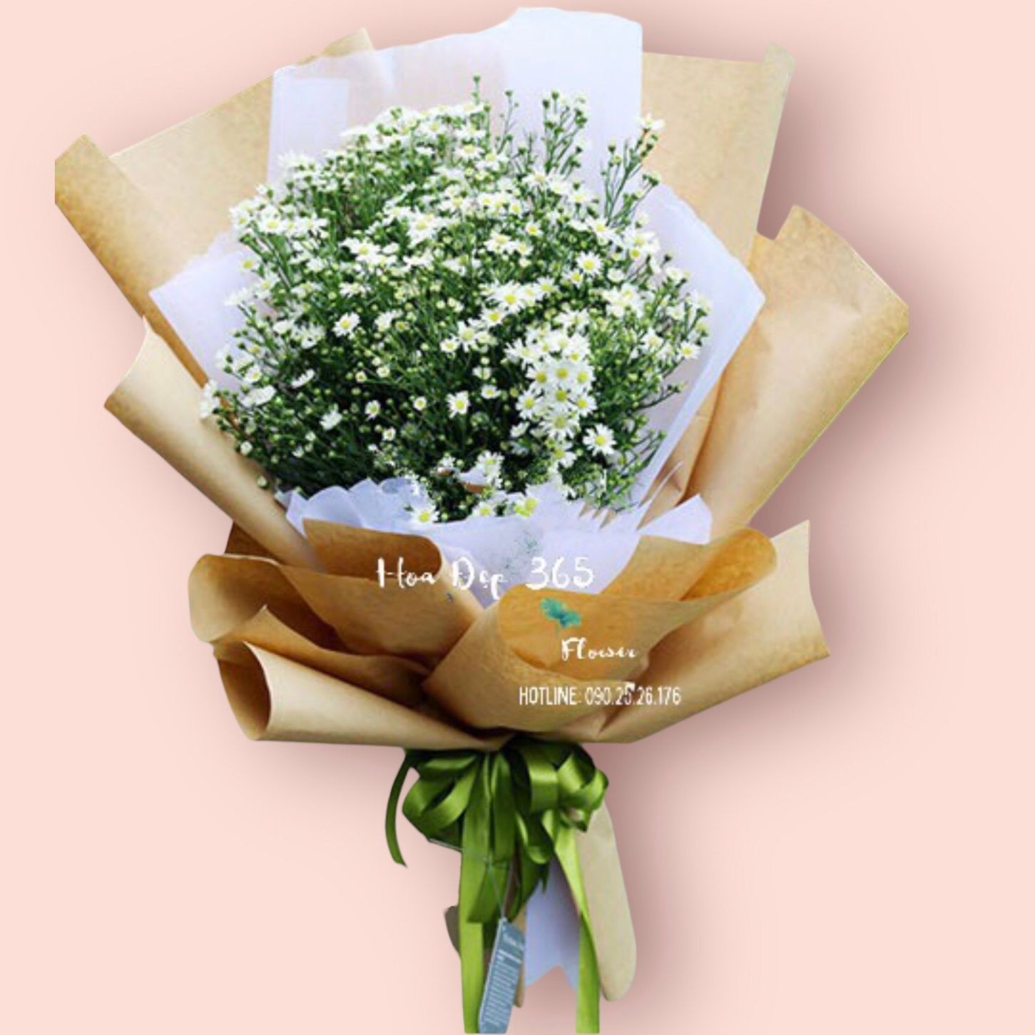 Thạch Thảo - HBD06