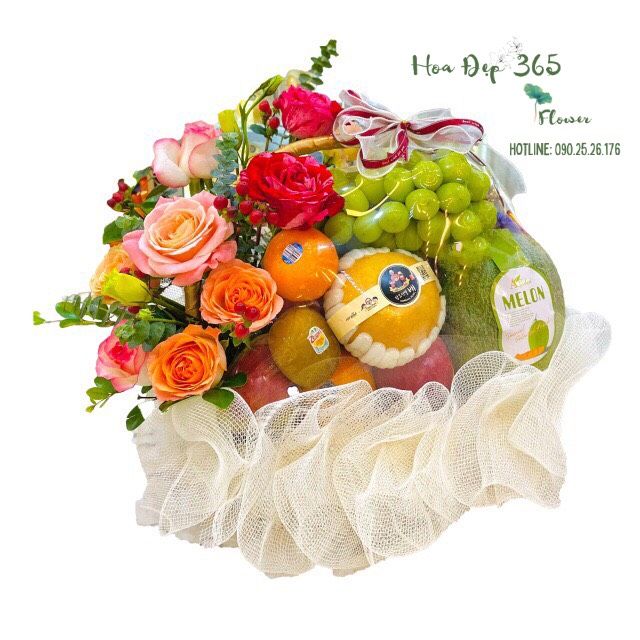 Giỏ Trái Cây Tài Lộc - GTC63