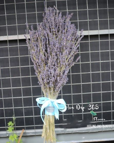 Bó Hoa Lavender Mộc Mạc - LVD04 - Điện Hoa