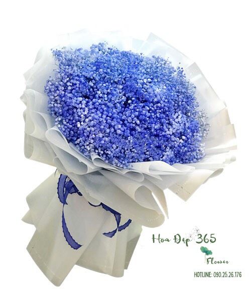 Thương Nhớ - HBT78
