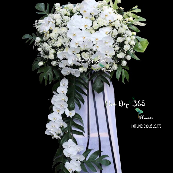 Tiếc Thương - HTL54 - Vòng hoa đám tang