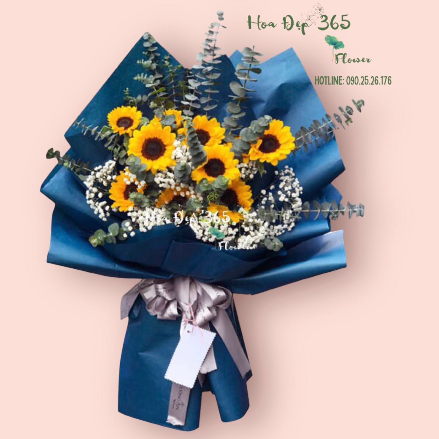 Nắng Sớm - HBD172