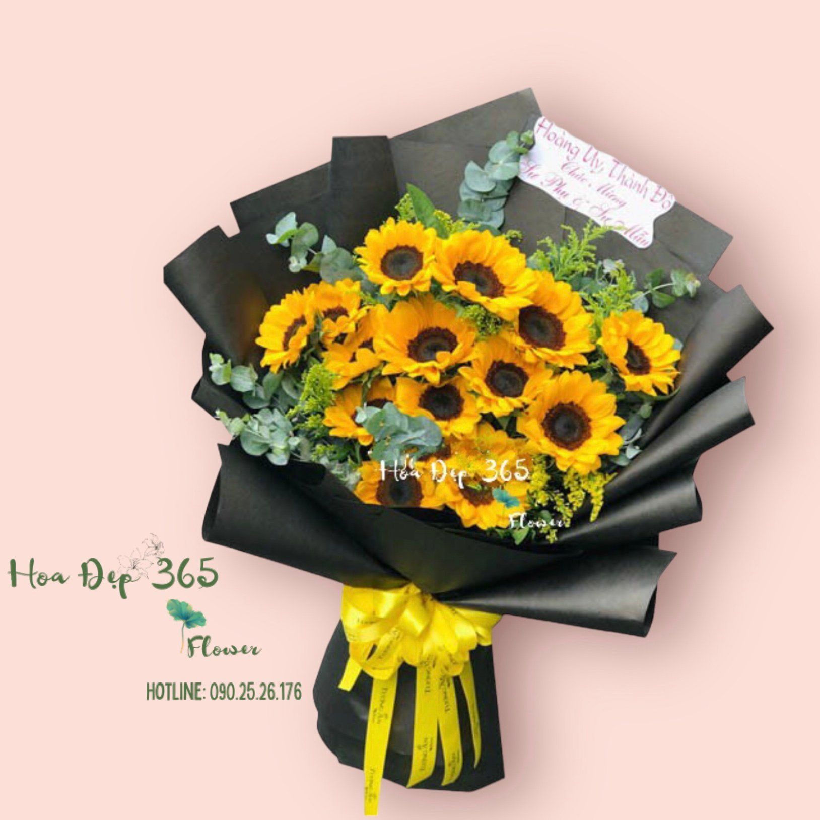Hướng Dương - HBD180