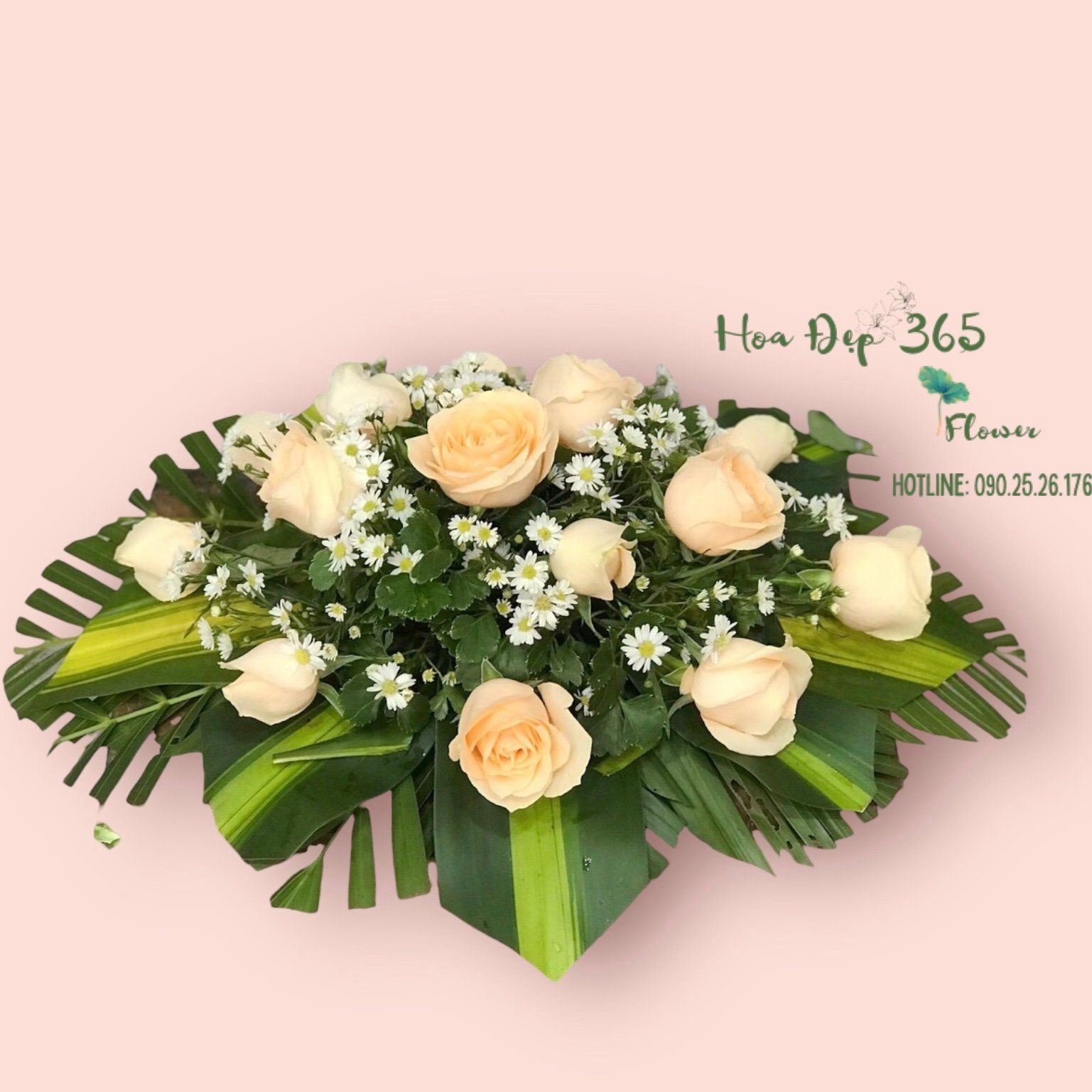 Hoa Để Bàn - Ovan 16