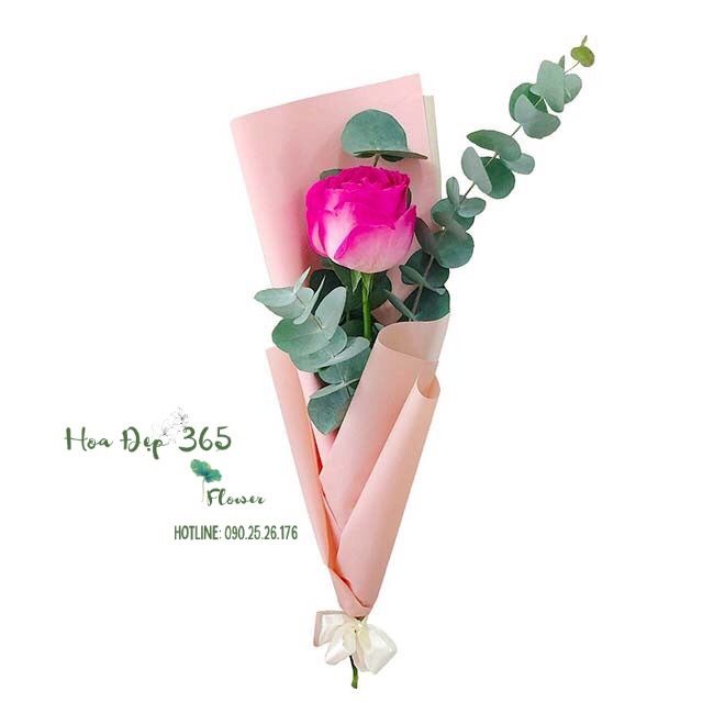 Thương Thương - HBD70
