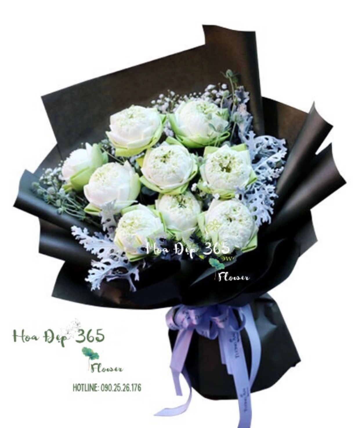 Bó Hoa Sen Trắng Tinh Khiết - HBD157 - Hoa 20/11 Tặng cô