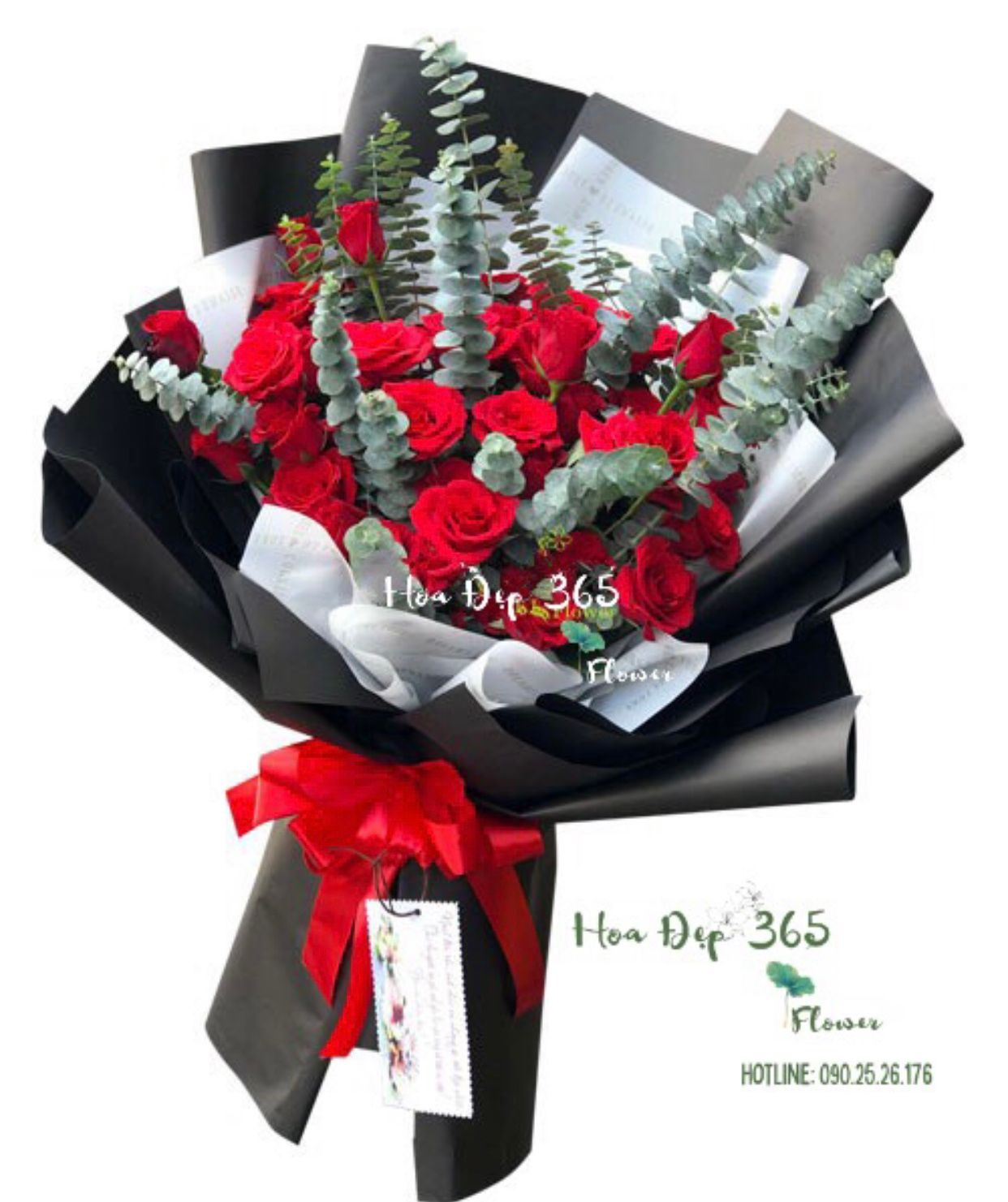 Nồng Thắm - HBD173