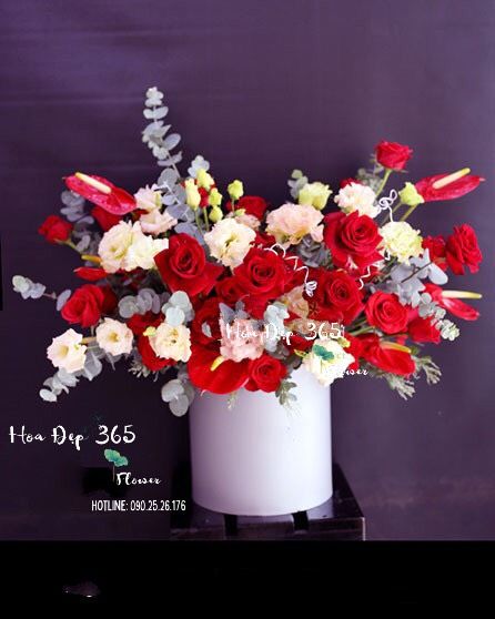 Sự Sống - HH42 - Hoa Hồng 20/10