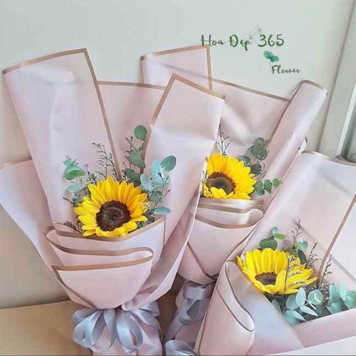 Sunny Morning - HBD71