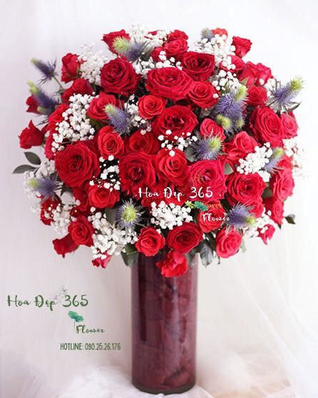 Best Wishes - HCB41