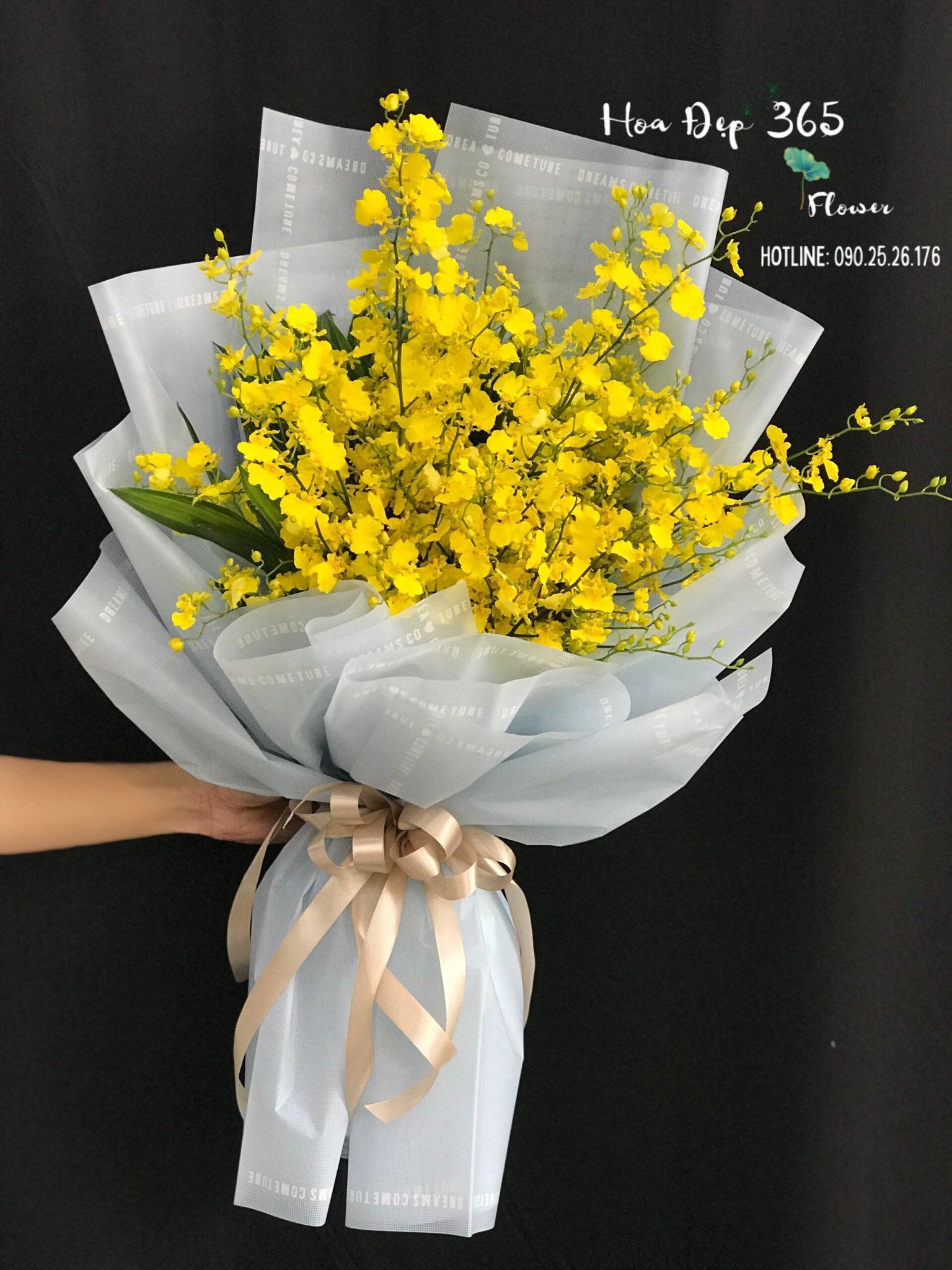 Bó Lan Vũ Nữ - HBD237