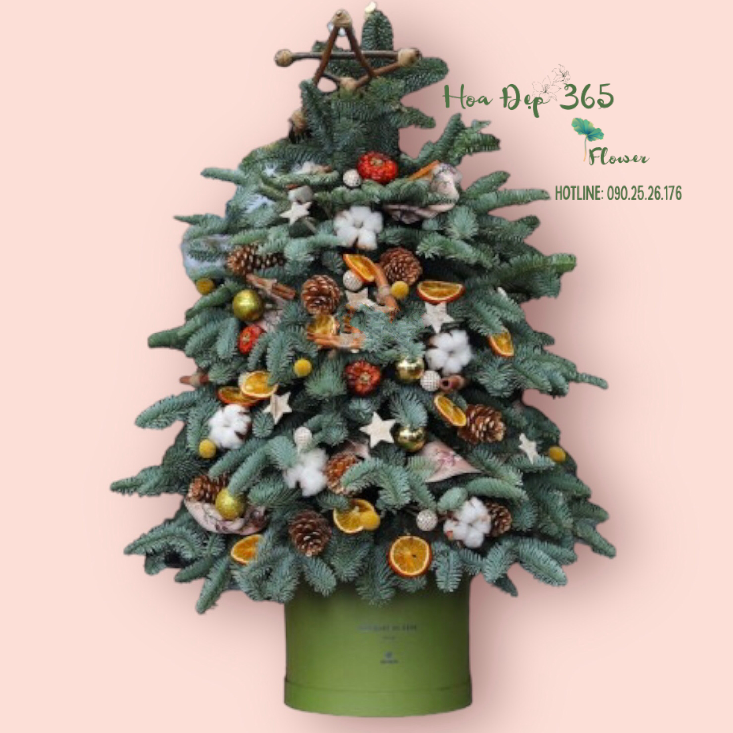  Cây Thông Noel Evergreen - HGS06 - Giáng Sinh An Lành 