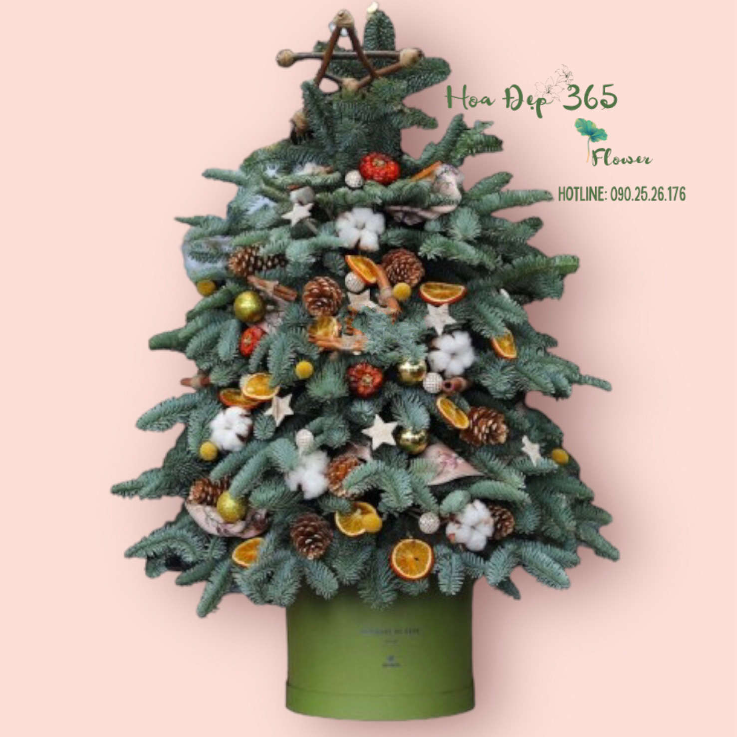 Cây Thông Noel Evergreen - HGS06 - Giáng Sinh An Lành