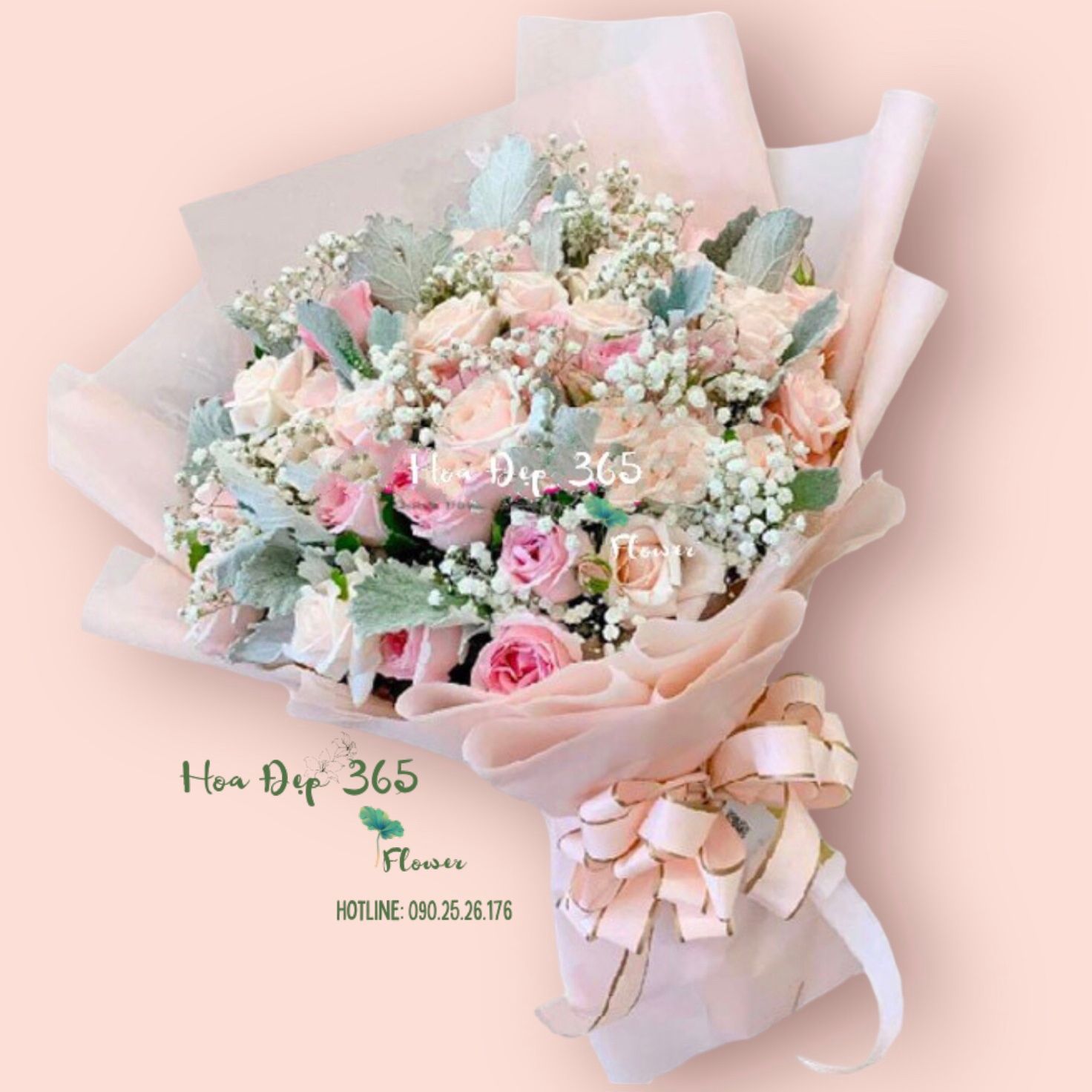 Niềm Vui Mới - HBD208