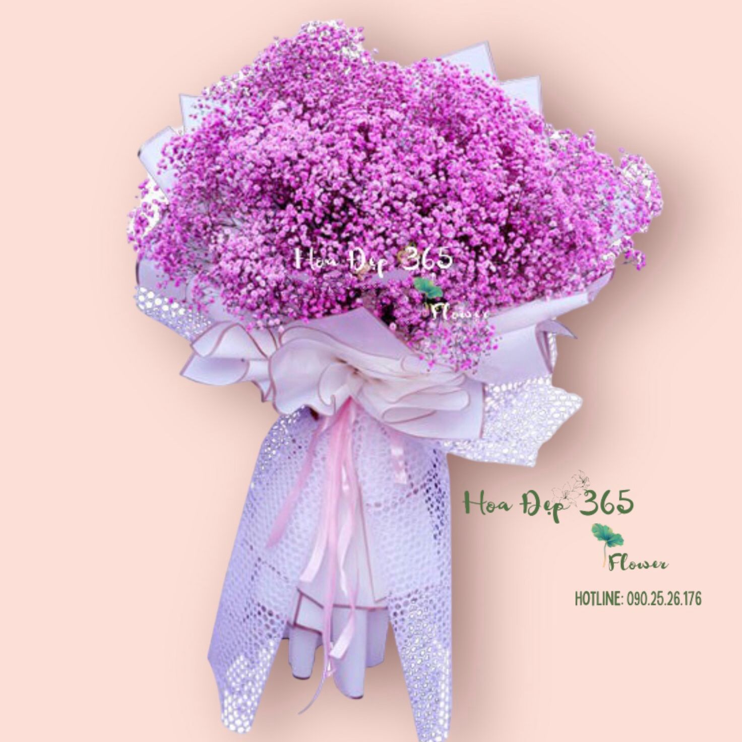 Giấc Mơ Màu Hồng - HBT79
