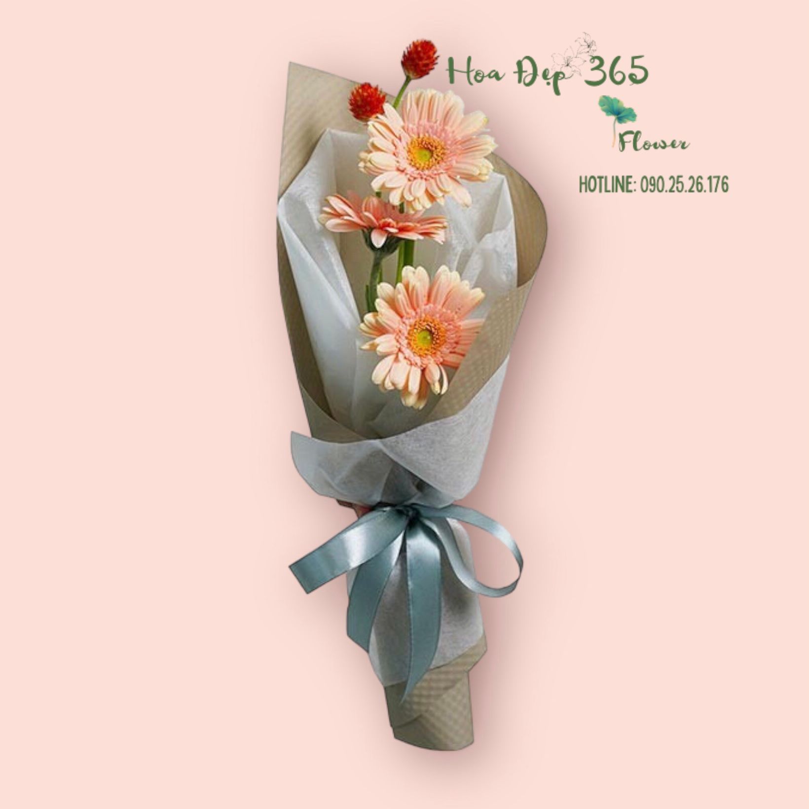 Bó Hoa Đồng Tiền - Adorable Smile - HBD65 - Hoa tặng mẹ