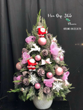  Cây Thông Noel Tannenbaum - HGS01 - Hoa Giáng Sinh 