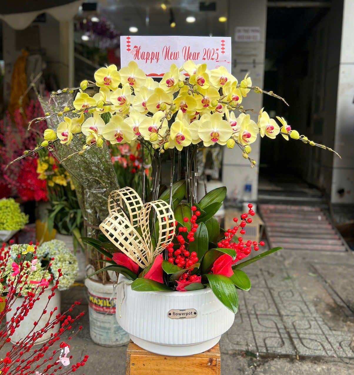 Chậu Hoa Lan Hồ Điệp Vàng 12 Cành - LHĐ111