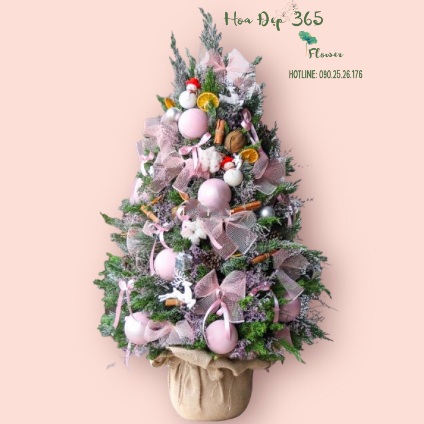 Cây Thông Noel Holly Jolly Cedar - HGS10 - Giáng Sinh Hạnh Phúc