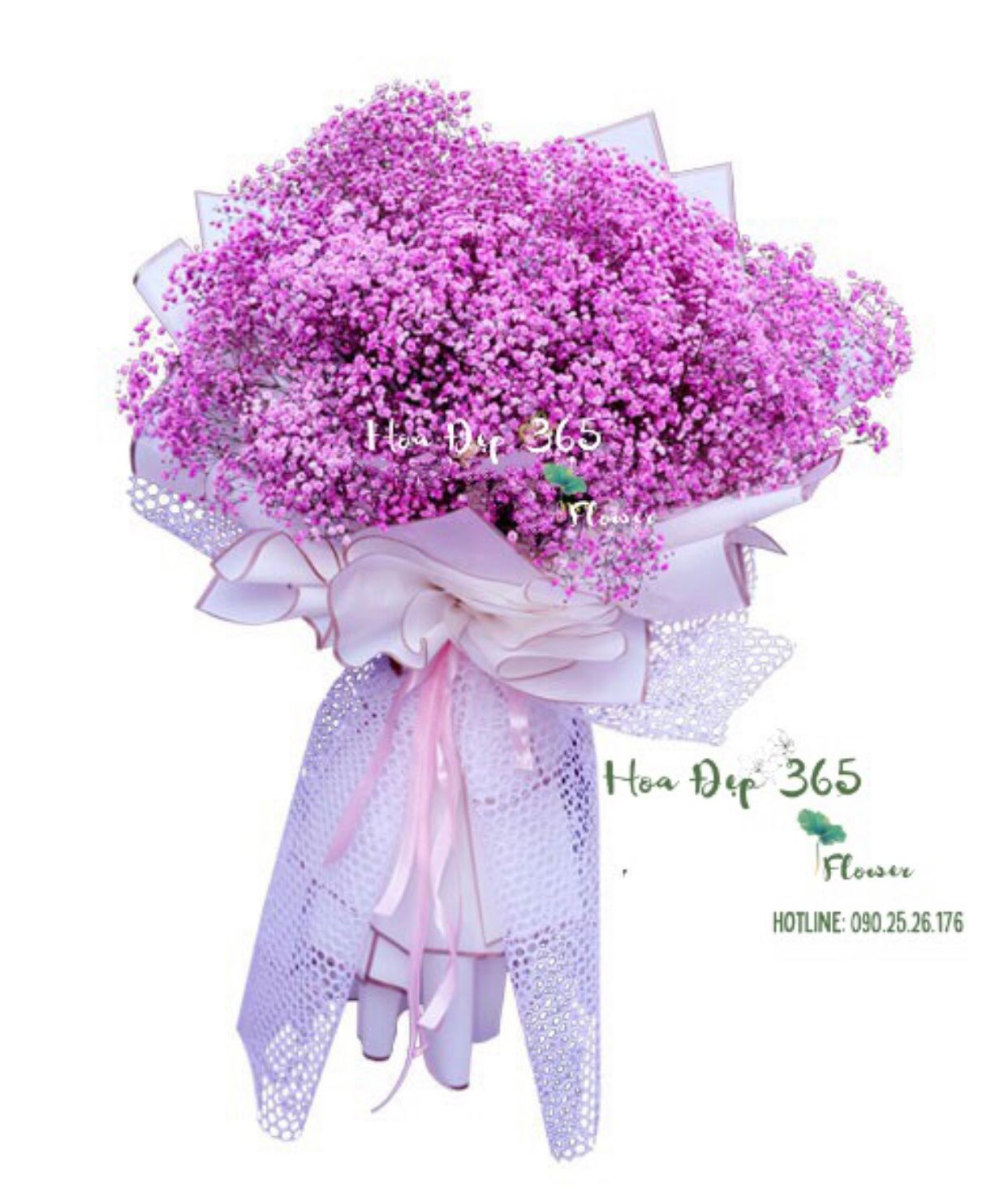 Giấc Mơ Màu Hồng - HBT79