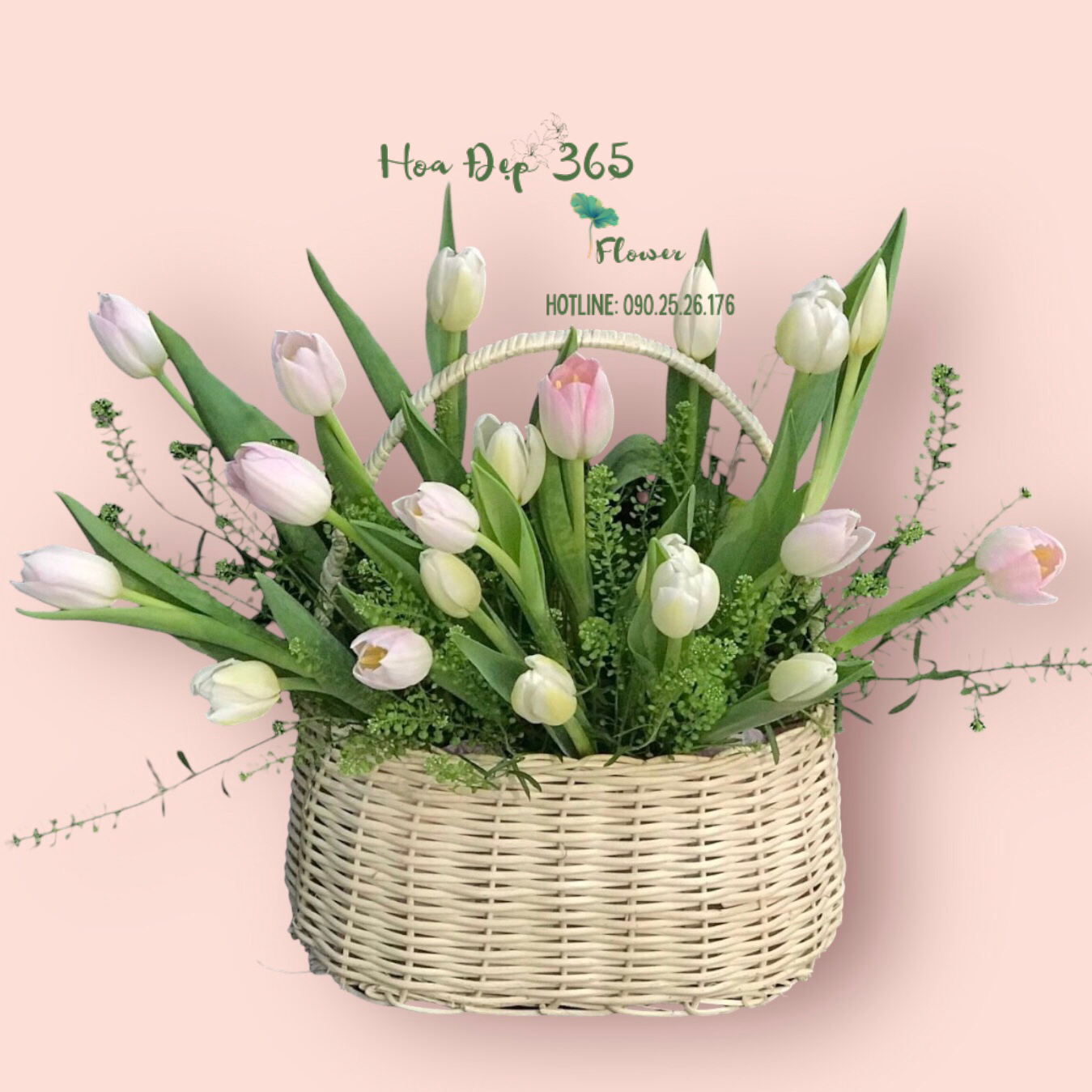 Giỏ Hoa Tươi Tulip Mix Màu - HG63