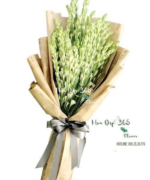 Thương Cảm - HBD107 - Điện Hoa