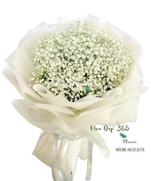 Vĩnh Cửu - HBT68 - Hoa 20/10