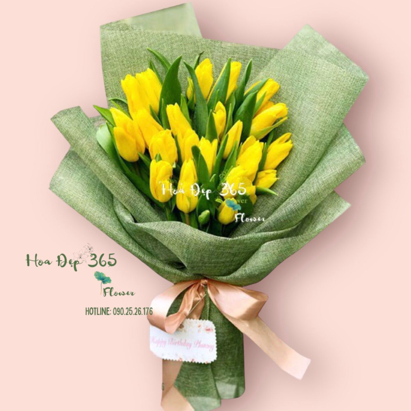 Tulipa Vàng - HBD189 - Hoa 8/3