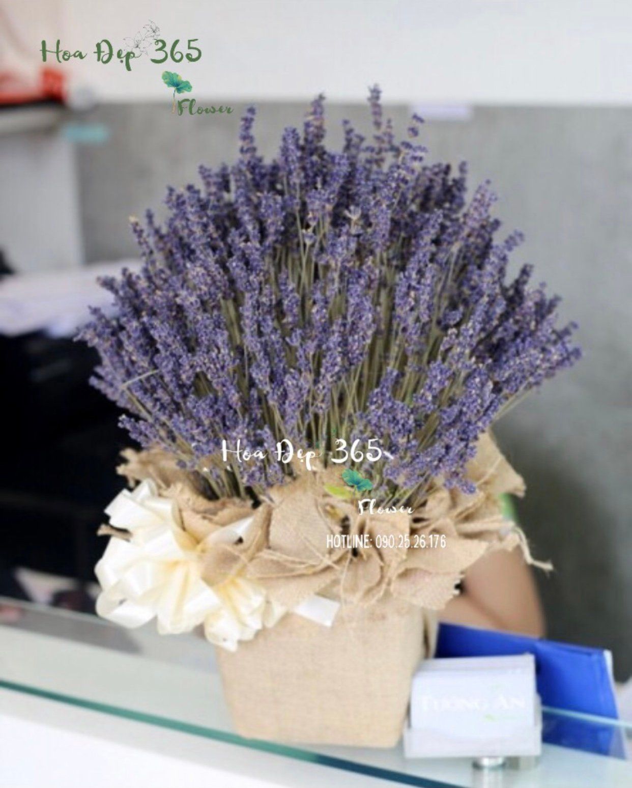 Hộp Hoa Lavender - LVD02